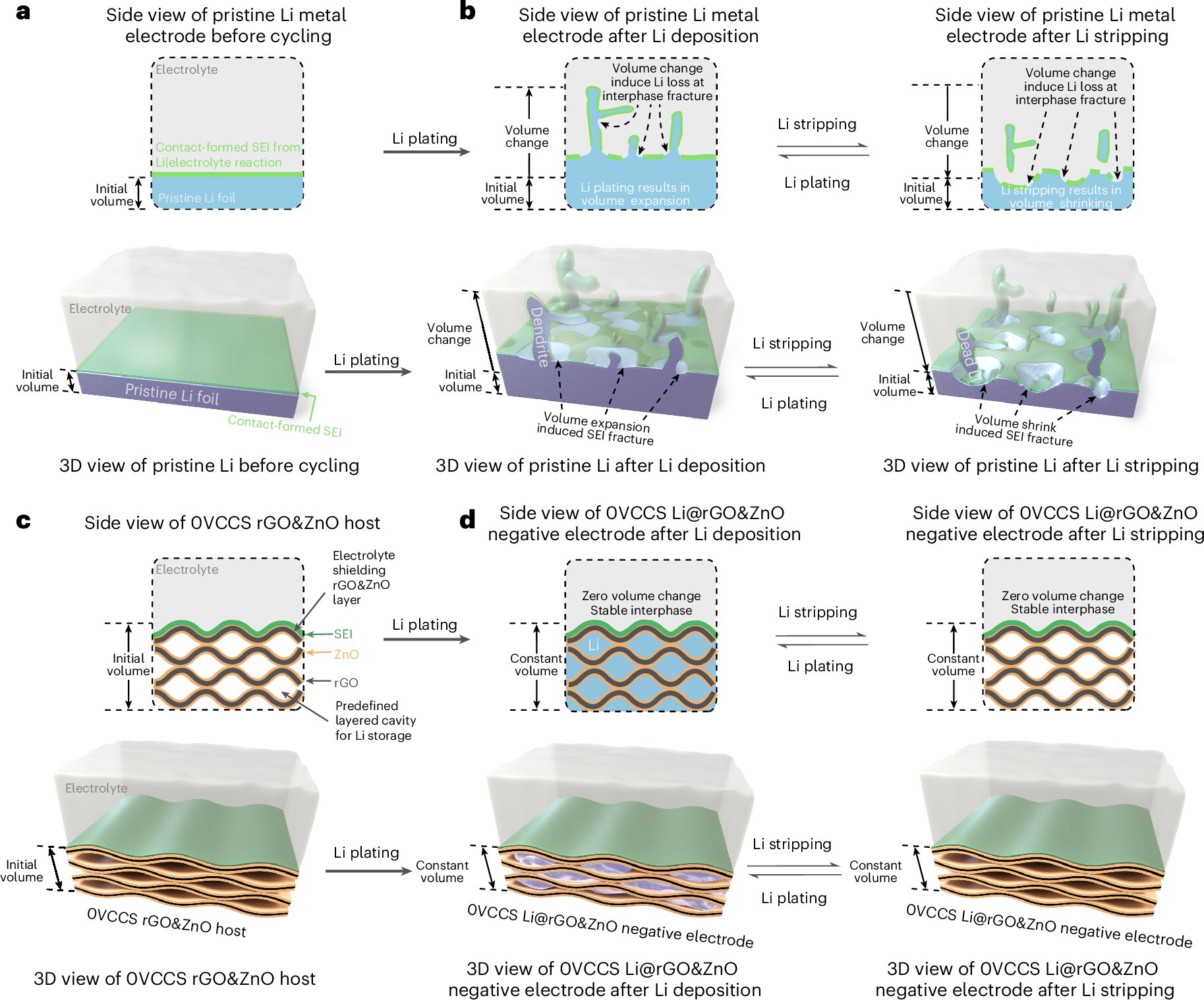 Nanoengineered Electrode Material Boots Cycling and Efficiency in Li-Metal Batteries