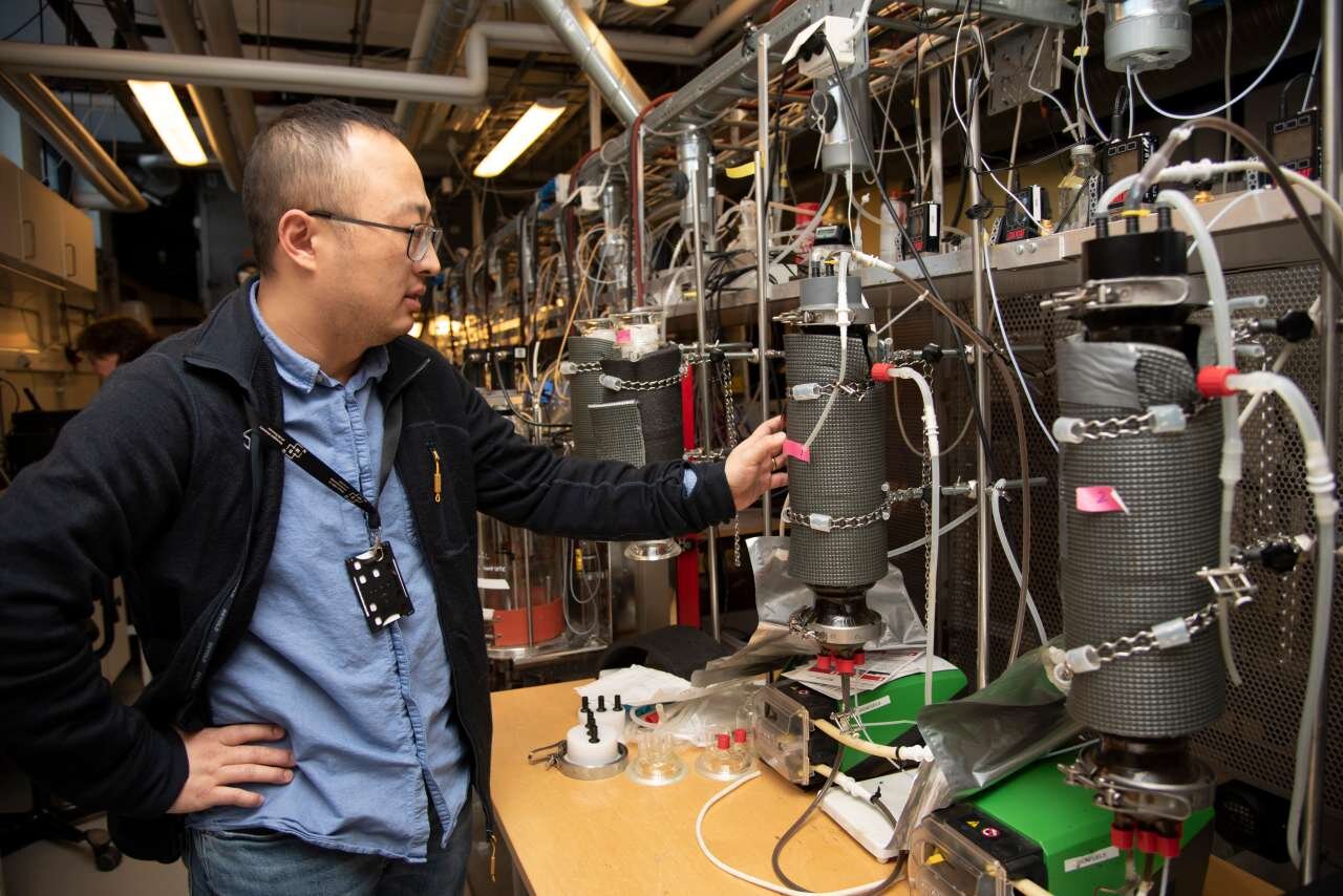 Thin Biofilm Can Transform Co₂ Into Renewable Energy