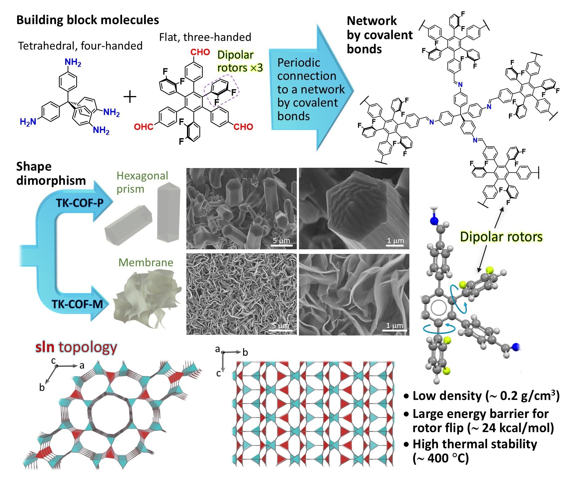 New Non-Volaital Memory Platform Built With Covalent Organic Frameworks
