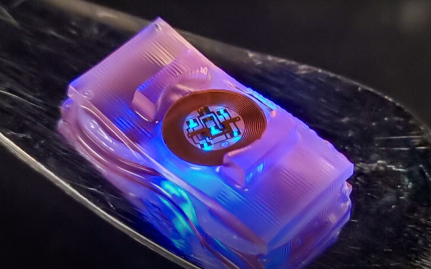 Biohybrid crawlers can be controlled using optogenetic techniques
